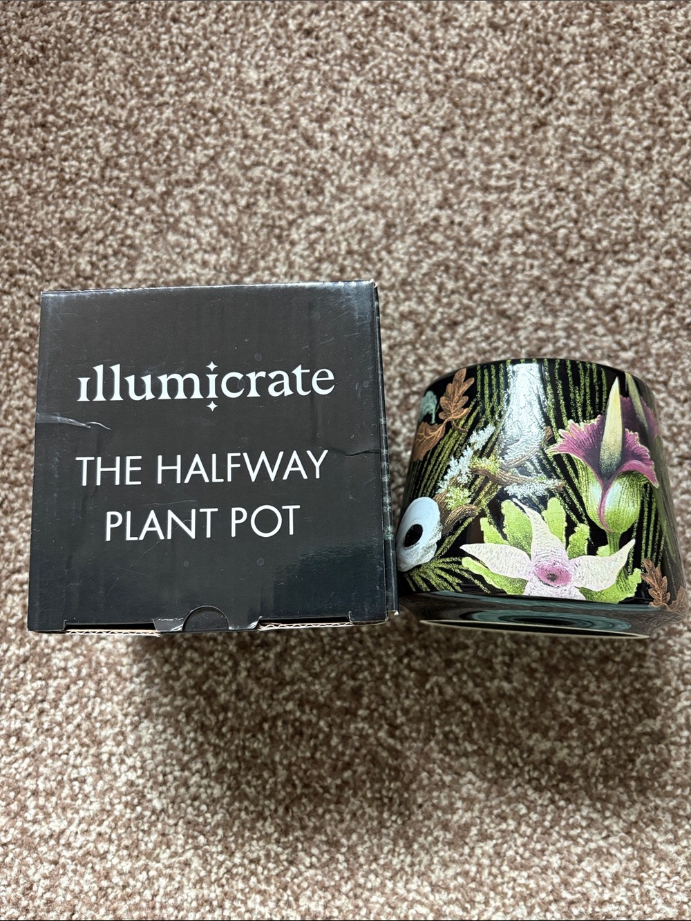 illumicrate the halfway plant pot